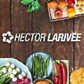 Hector Larivée
