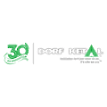 Dorf Ketal Chemicals