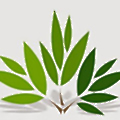 Terracon Ecotech